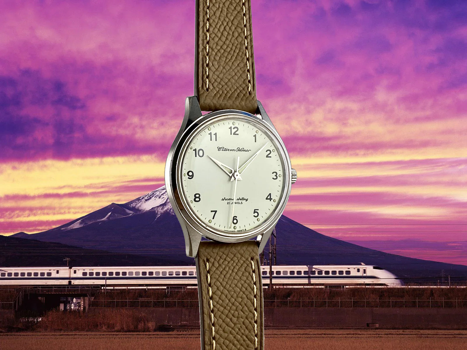 Citizen Homer Watch — Japan